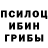 Галлюциногенные грибы Cubensis ckdd13 ckdd13