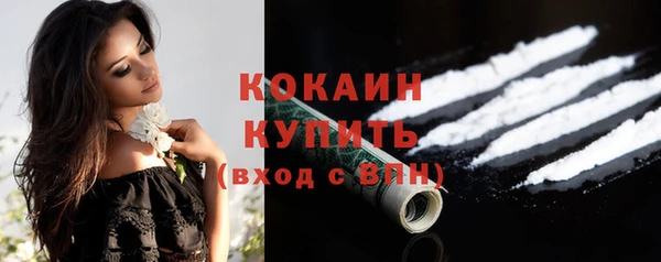 прущий лед Алзамай