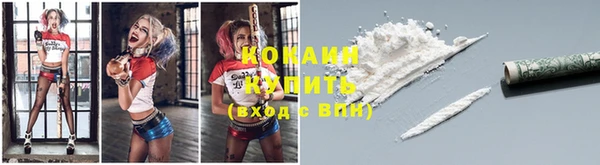 прущий лед Алзамай