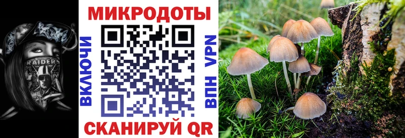 Псилоцибиновые грибы прущие грибы купить наркотик Тюкалинск
