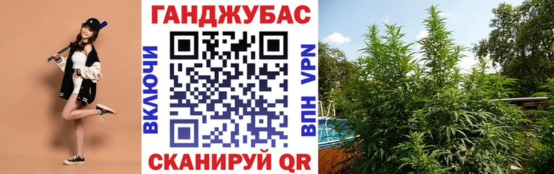 ссылка на мегу маркетплейс цена Тюкалинск Шишки марихуана SATIVA & INDICA